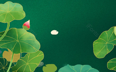 背景 背景纹理 图案 植物 植物背景 荷花背景 中国风背景 国潮背景